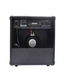 Amplificador Para Guitarra Eléctrica BIG DOG 25W RANDALL